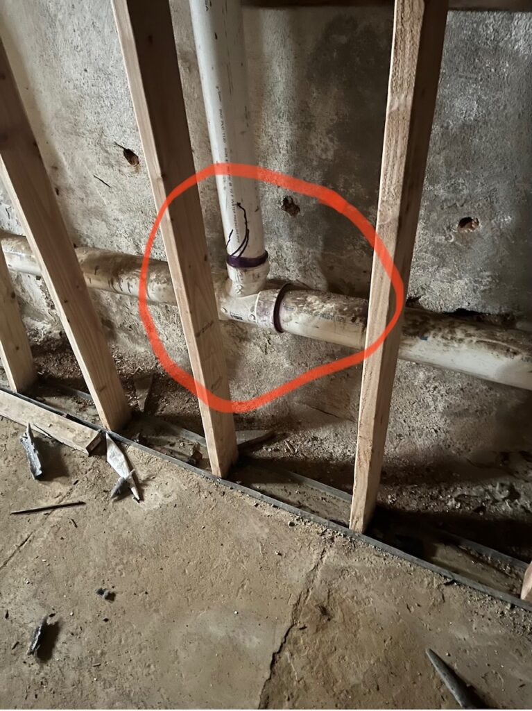 Mold Removal New Castle County