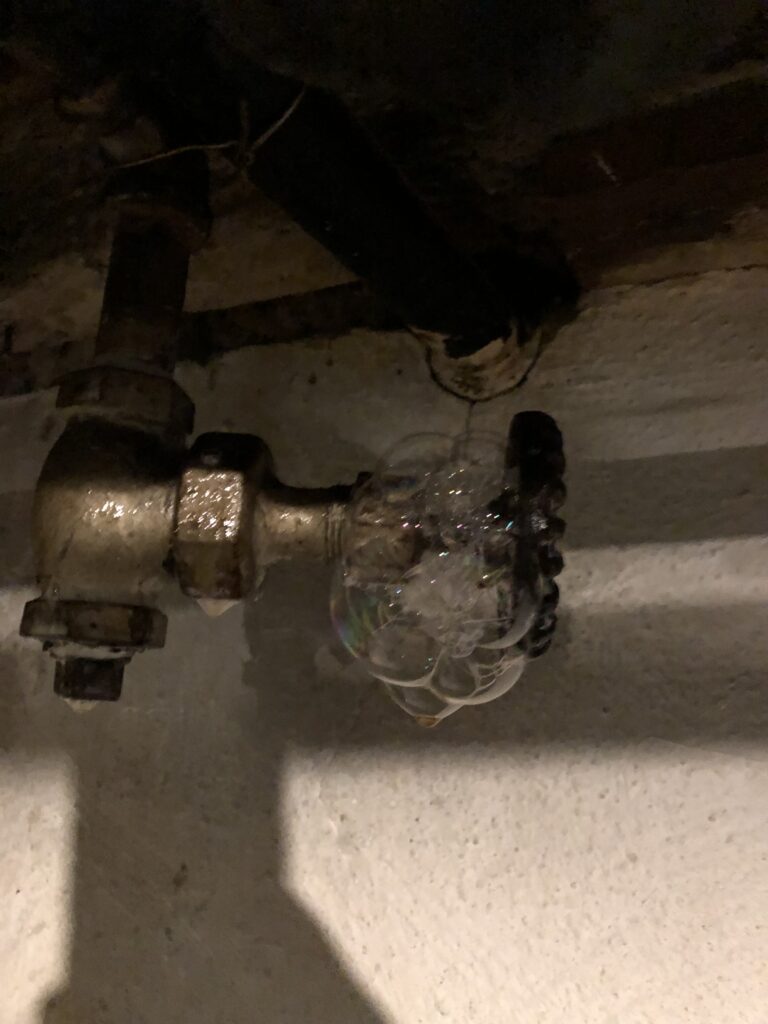 Mold Cleanup New Castle County