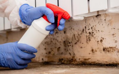How a Professional Plumber Can Help with Water Damage Restoration and Mold Remediation