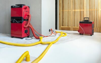 Why Quick Action is Key for Water Damage Restoration