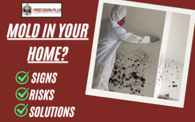 Mold In Your Home? Signs, Risks, And Solutions