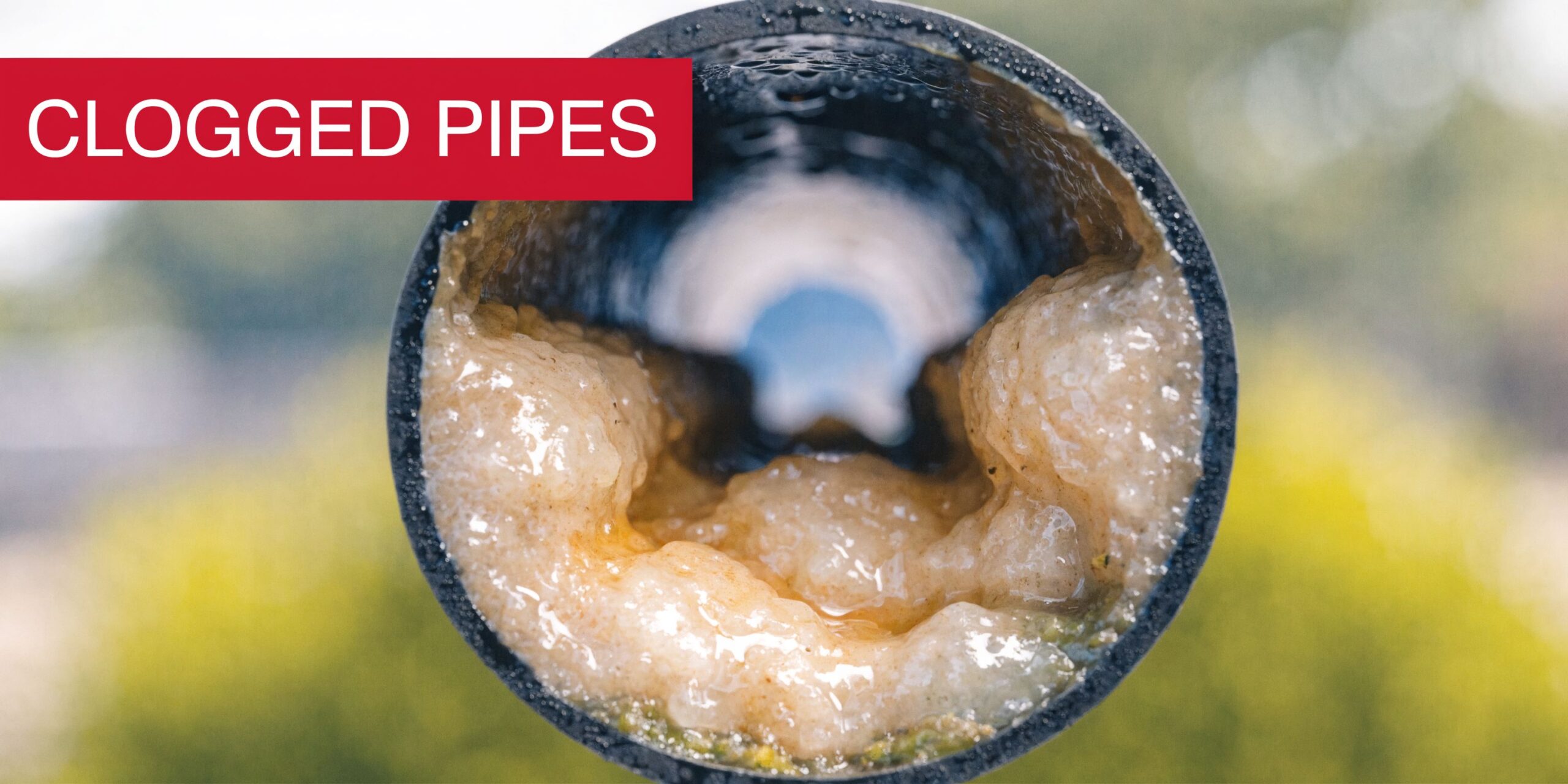 A Close-Up View Looking Into A Clogged Pipe Blocked By Solidified Yellow Grease And Food Debris.